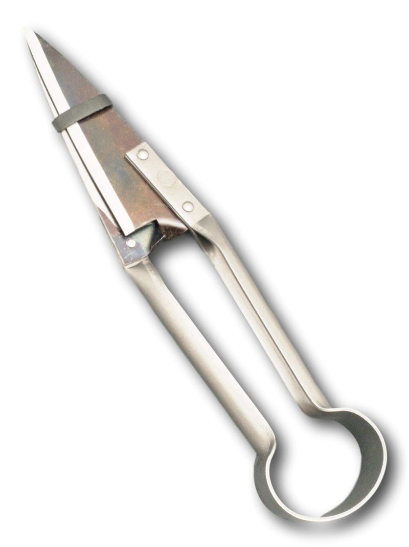 DUE BUOI Single Bow Straight Sheep Shears DB 160/32-5.50" Blade Length - 12.60" Total Length - Image 1